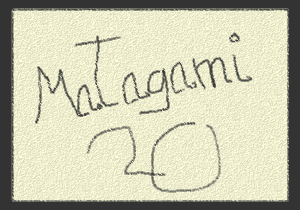 «Mr.Tagami»